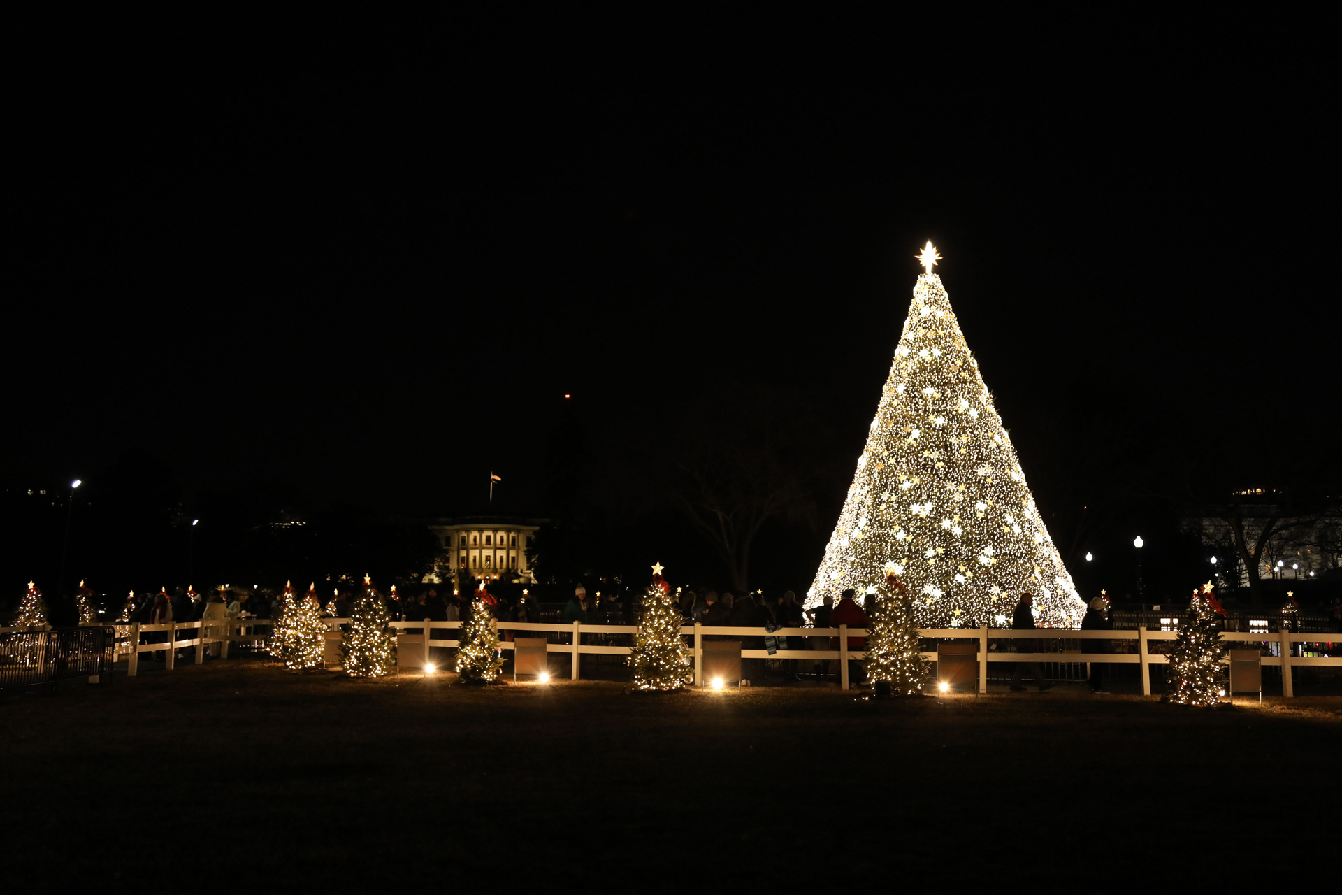 White house christmas tree lighting 2021 lottery