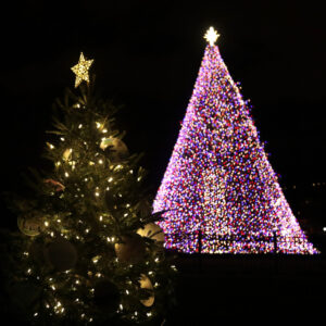 Christmas trees put on display in U.S. cities draw mockery and comparisons  to 2020