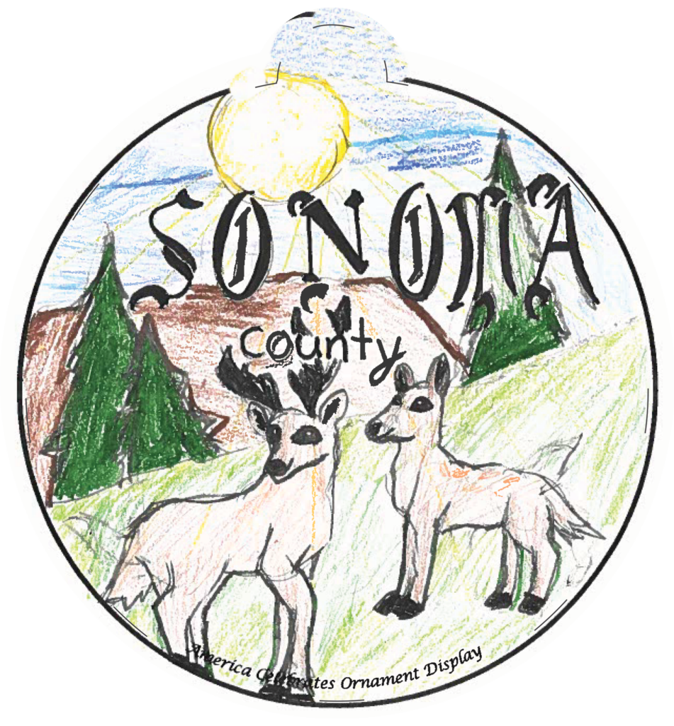 Visit the Tree National Christmas Tree Lighting