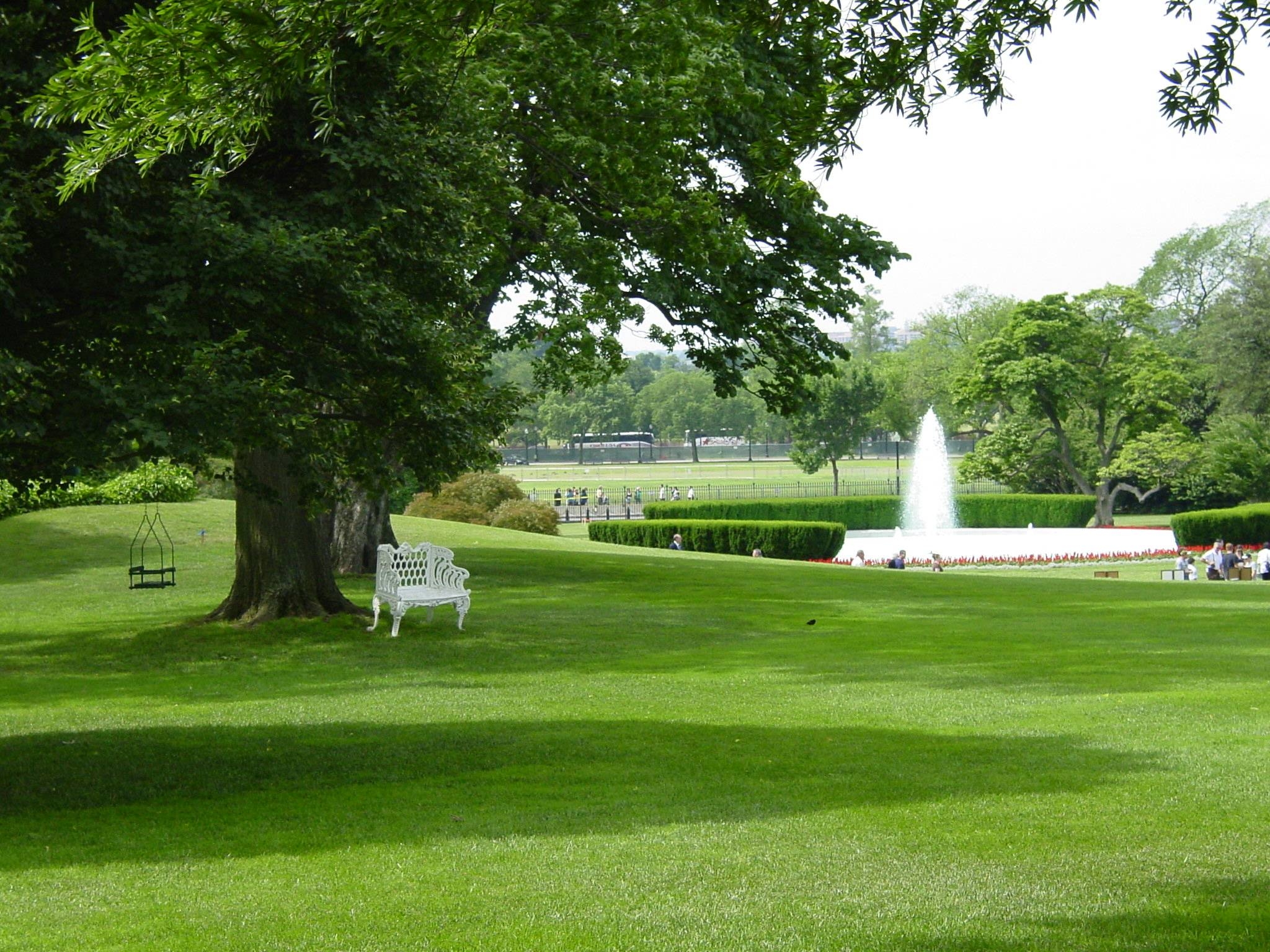 Green lawn dotted with shady trees. In the distance, a fountain