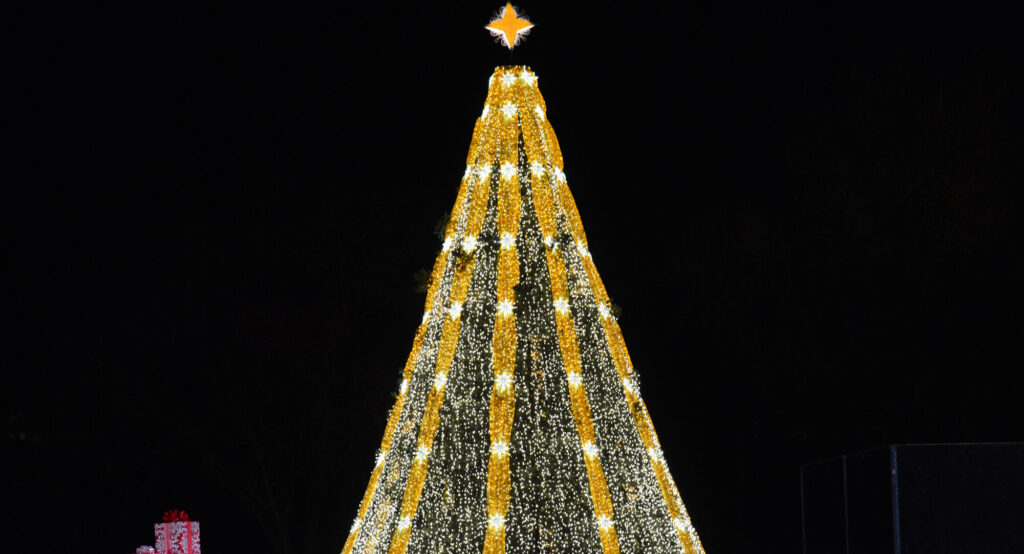 Visit the Tree - National Christmas Tree Lighting