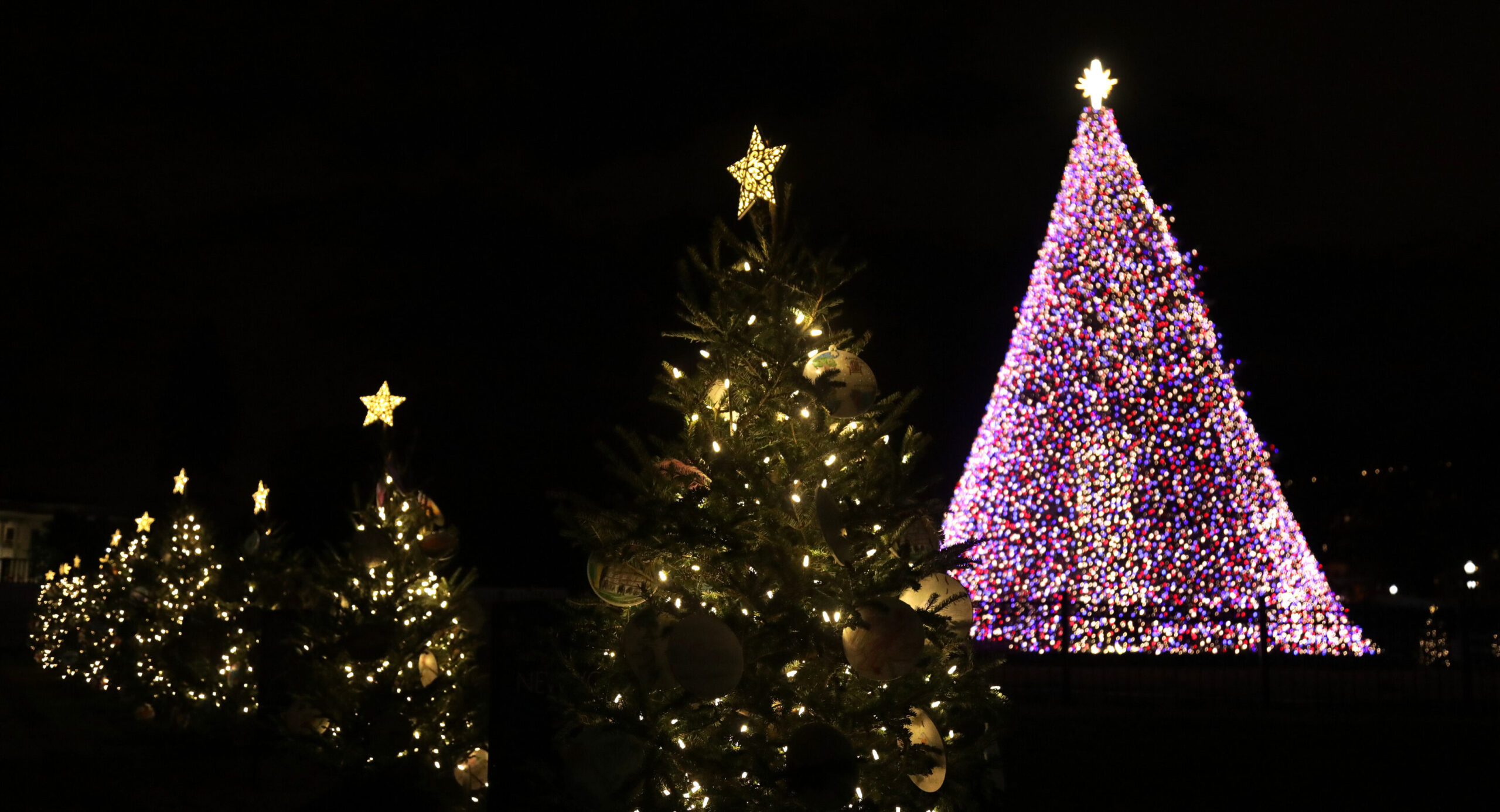 Visit the Tree National Christmas Tree Lighting