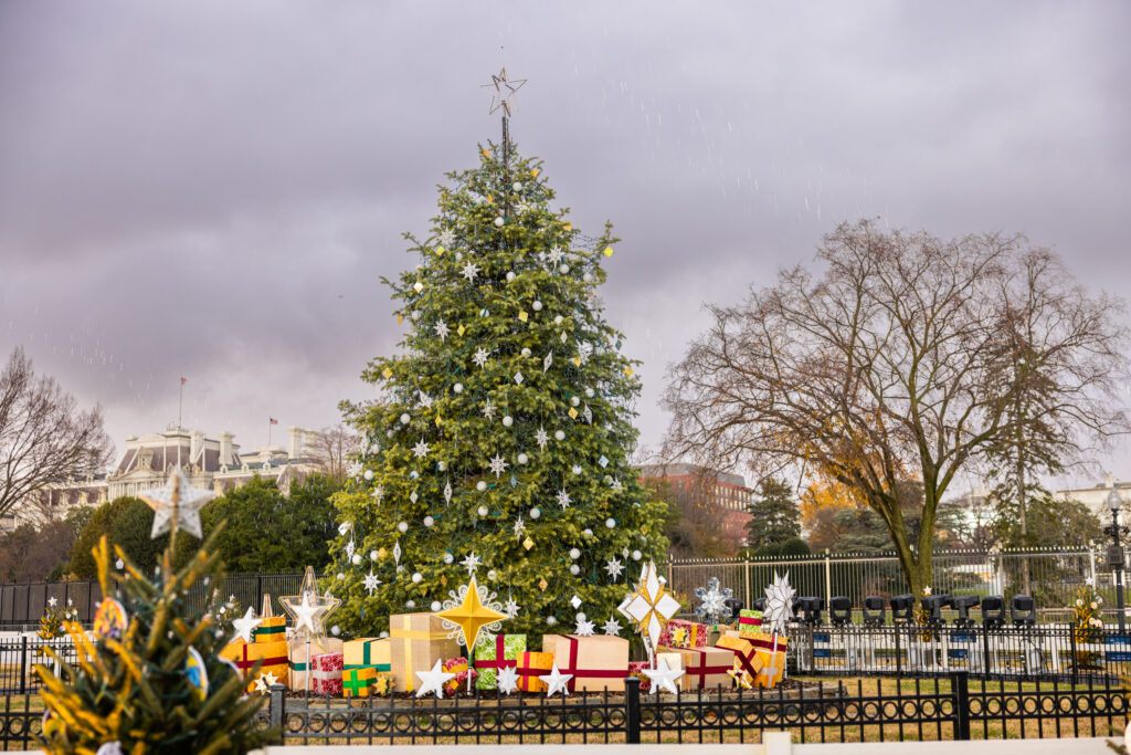 2022 National Christmas Tree at daytime